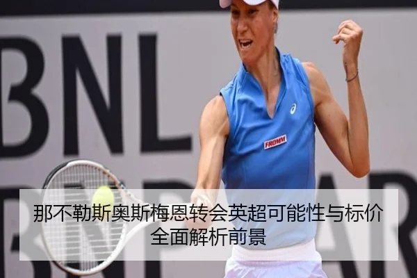 那不勒斯奥斯梅恩转会英超可能性与标价全面解析前景